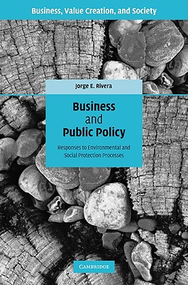 Business and Public Policy: Responses to Environmental and Social Protection Processes (Business, Value Creation, and Society) [Hardcover] Rivera, Jorge E.