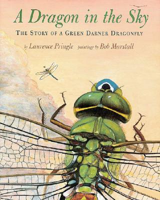 Dragon In The Sky (Junior Library Guild)
