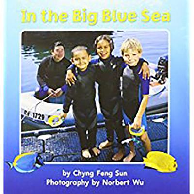 In the Big Blue Sea (Unit 4, Book 18): Little Big Book Grade K (Journeys)
