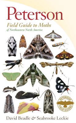 Image for Peterson Field Guide To Moths Of Northeastern North America (Peterson Field Guides)
