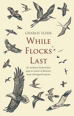 While Flocks Last: An Armchair Birdwatcher Goes in Search of Britain's Most Endangered Species