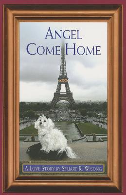 Image for Angel Come Home:A Love Story