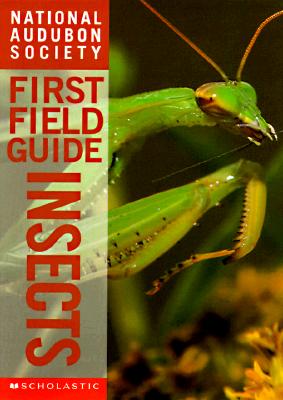 Image for First Field Guide Insects