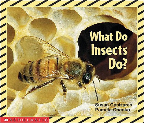 Image for What Do Insects Do? (Science Emergent Reader)