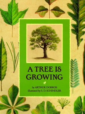 Tree is Growing
