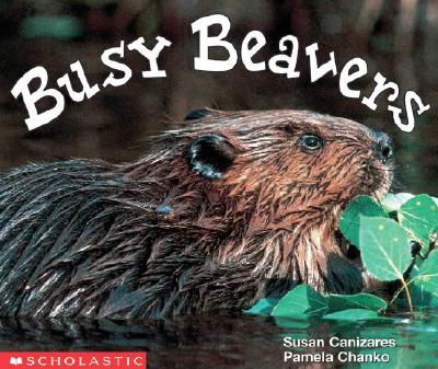 Image for Busy Beavers (Emergent Readers)