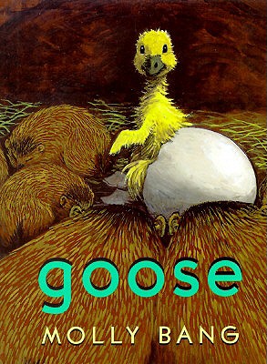 Image for Goose Goose