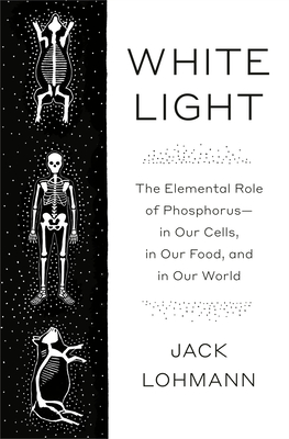 WHITE LIGHT : THE ELEMENTAL ROLE OF PHOSPHOROUS- IN OUR CELLS, IN OUR FOOD, IN OUR WORLD