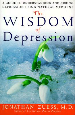 The Wisdom of Depression: A Guide to Understanding and Curing Depression Using Natural Medicine