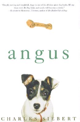 Angus