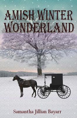 Amish Winter Wonderland: Book Two