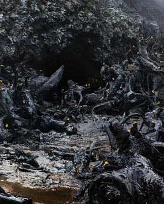 Simen Johan: Until the Kingdom Comes