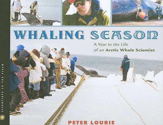 Whaling Season: A Year in the Life of an Arctic Whale Scientist (Scientists in the Field Series)