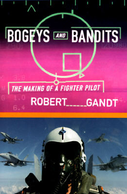 Bogeys and Bandits: The Making of a Fighter Pilot