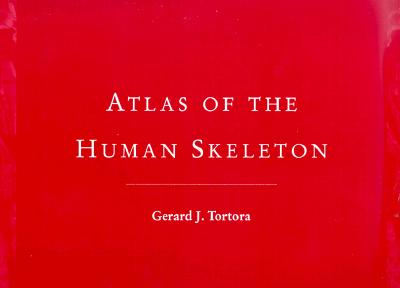 Image for Atlas of the Human Skeleton Atlas of the Human Skeleton