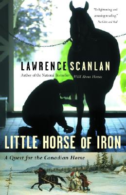 Little Horse Of Iron