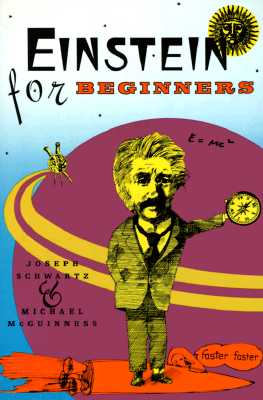 Einstein for Beginners (American)