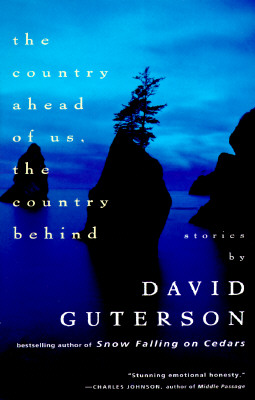 The Country Ahead of Us, The Country Behind