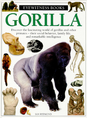 Gorilla