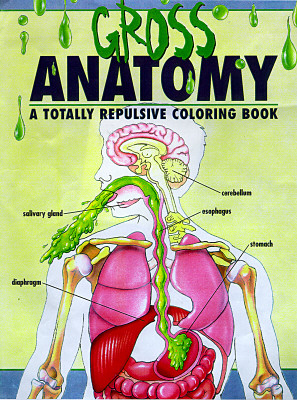 Image for The Gross Anatomy, an Off-Color Coloring Book The Gross Anatomy, an Off-Color Coloring Book