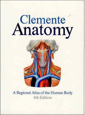 Image for Anatomy: A Regional Atlas of the Human Body