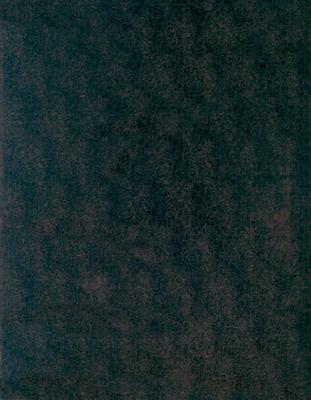 New Interpreter's Study Bible Genuine Leather Burgundy: New Revised Standard Version with Apocrypha