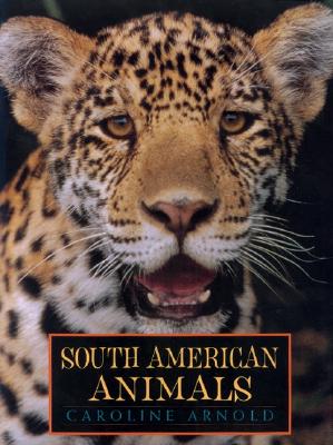 Image for South American Animals South American Animals