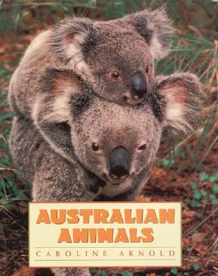Image for Australian Animals Australian Animals