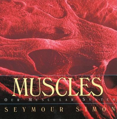Muscles: Our Muscular System