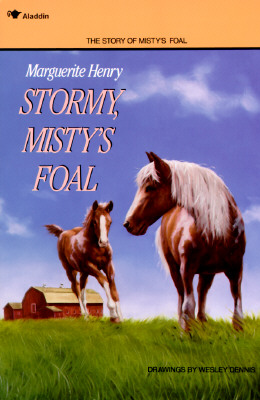Image for Stormy, Misty's Foal