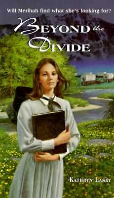 Beyond the Divide