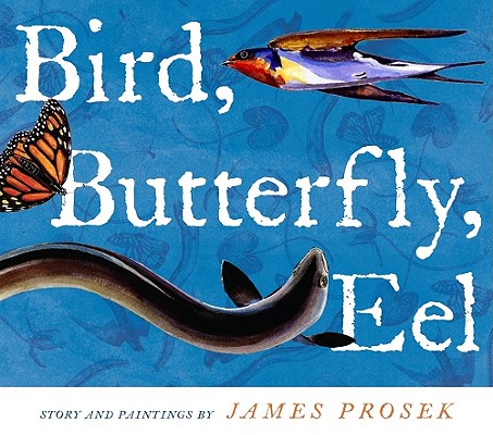 Image for Bird, Butterfly, Eel