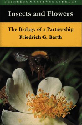 Image for Insects and Flowers: The Biology of a Partnership