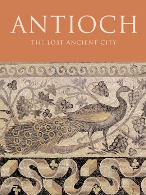 Image for Antioch: The Lost Ancient City