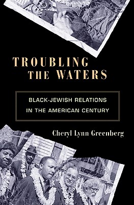 Troubling the Waters: Black-Jewish Relations in the American Century (Politics and Society in Modern America)