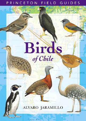 Birds Of Chile Princeton Field Guides