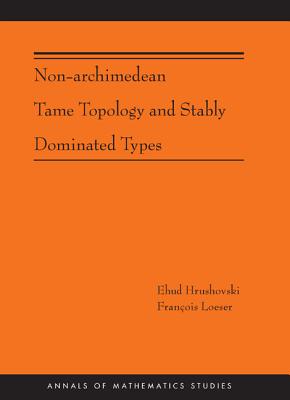 Non-Archimedean Tame Topology and Stably Dominated Types (AM-192) (Annals of Mathematics Studies, 192)
