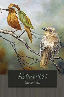 Image for Aboutness (Carl G. Hempel Lecture Series) Aboutness (Carl G. Hempel Lecture Series)