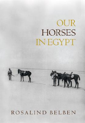 Our Horses In Egypt Rosalind Belben