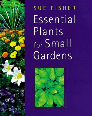 Essential Plants For Small Gardens