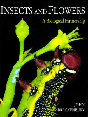 Insects and Flowers: A Biological Partnership
