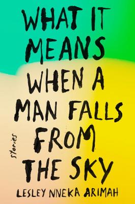 Image for What It Means When A Man Falls From The Sky