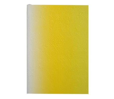 Image for Neon Yellow B5 Ombre Paseo Notebook