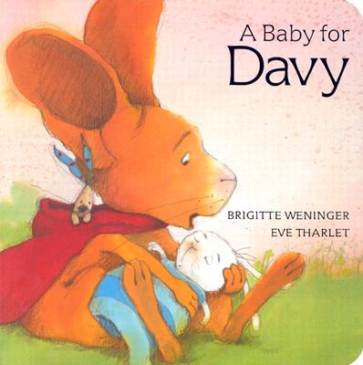 A Baby for Davy (Davy Board Books)