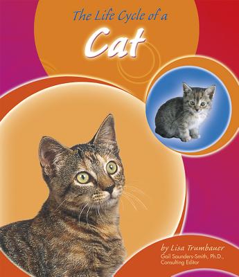 Life Cycle of a Cat