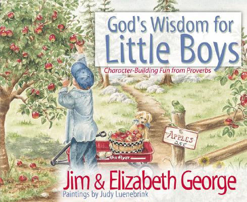 Image for God's Wisdom for Little Boys: Character-Building Fun from Proverbs