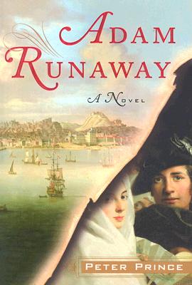 Adam Runaway: A Novel