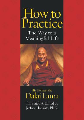 How to Practice: The Way to a Meaningful Life
