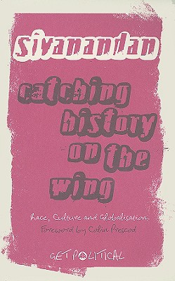 Catching History on the Wing: Race, Culture and Globalisation (Get Political)