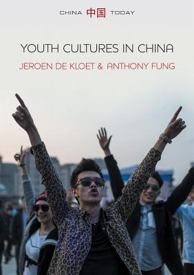 Youth Cultures in China (China Today)